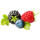 藍莓、樹莓、草莓果汁加工生產線