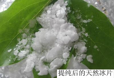龙脑冰片生产线 - 上海亘扬科技有限公司